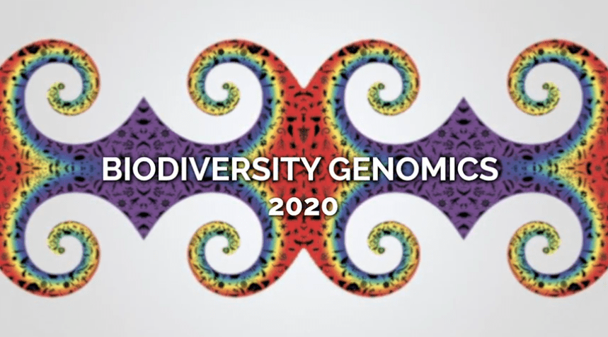 Biodiversity Genomics 2020